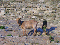 Agriturismo 